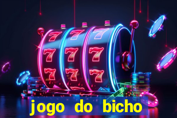 jogo do bicho crash bingo